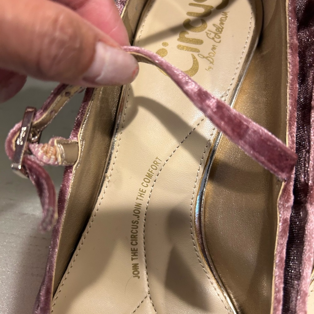 Circus by Sam Edelman Dusty Rose Velvet Mary Jane Block Heels - Picture 5 of 7